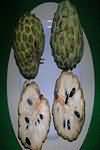 Sugar apple, flesh only