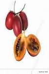 Tamarillos, flesh and seeds
