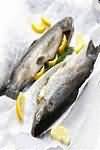 Trout, brown, steamed, weighed with bones