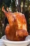 Turkey, skin, dry, roasted