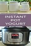 Yogurt, whole milk, twin pot, thick and creamy with fruit