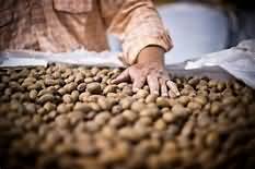 Almonds, weighed with shells