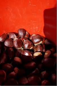 Chestnuts, kernel only, raw, weighed with shells