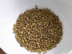 Fenugreek seeds