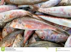 Mullet, Red, flesh only, raw