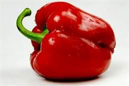 Paprika