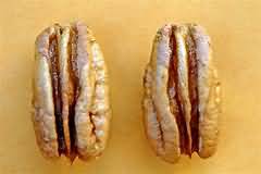 Pecan nuts, kernel only