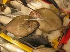 Pomfret, black, raw