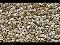 Sesame seeds