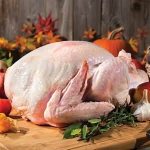 Turkey, whole, raw