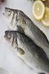 Fatty fish