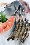 Fish and fish products