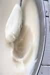 Lard