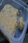 Suet, vegetable, reduced fat