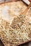 Sunflower seeds, toasted
