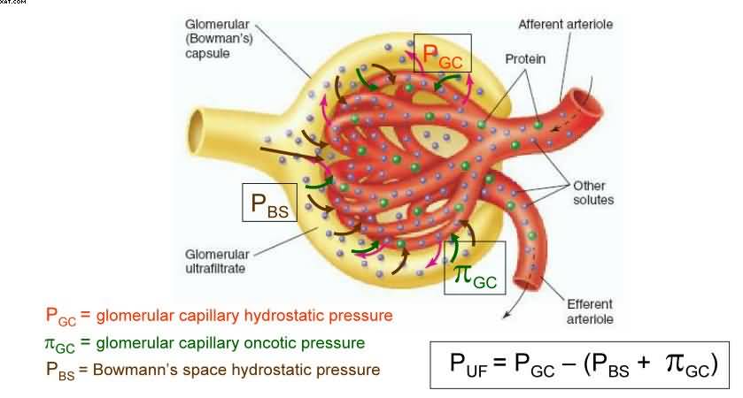 jfr pressure.jpg