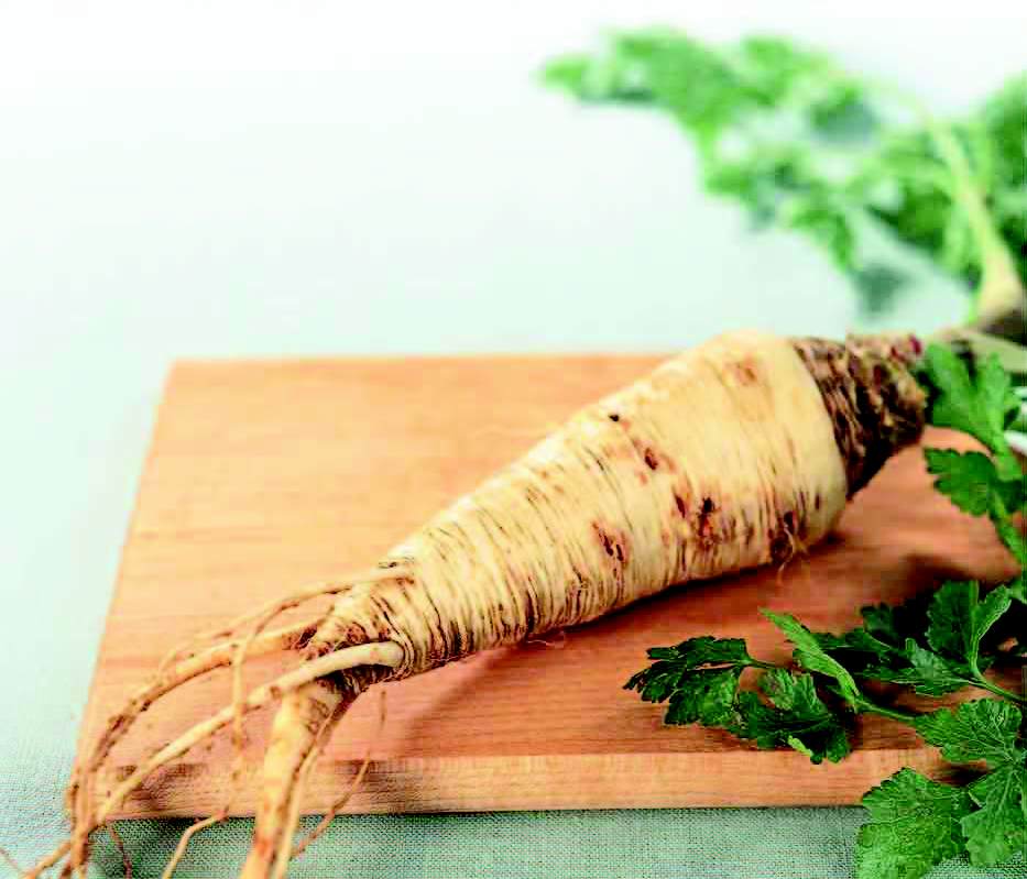 Parsley root