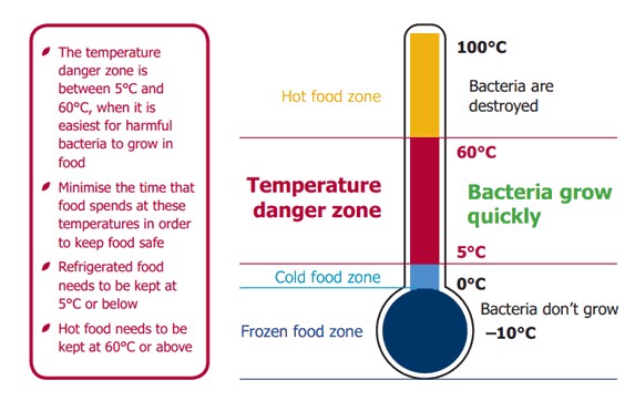 Understanding the Danger Zone for Bacterial Growth